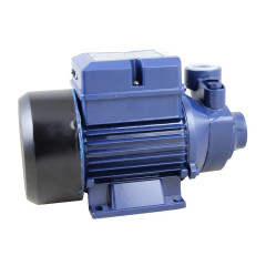 Motobomba Periférica Standart 1/2 HP Bivolt - Eletroplas ICS-50AB Motobomba Periférica Standart 1/2 HP Bivolt - Eletroplas ICS-50AB