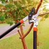 Tesourão de Poda Tipo Bypass em Aço com Cabo Extensível -  Tramontina 78363505