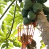 Colhedor de Frutas sem Cabo - Trapp FT20750
