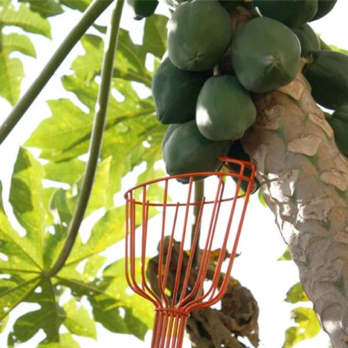 Colhedor de Frutas sem Cabo - Trapp FT20750