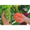 Tesoura para Frutas com Lâminas em Aço Inox - Tramontina 78310501