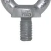 Parafuso Olhal de Suspensão M20 - Carbografite 013282113 Parafuso Olhal de Suspensão M20 - Carbografite 013282113